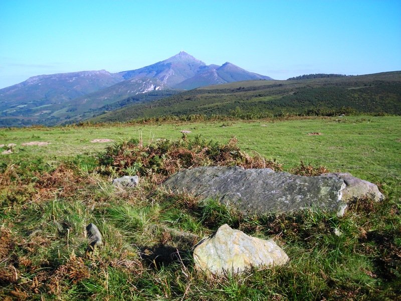 Lezante hego trikuharria