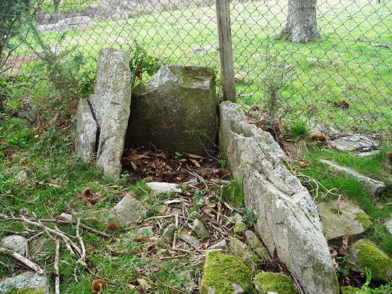 Argibele hego trikuharria