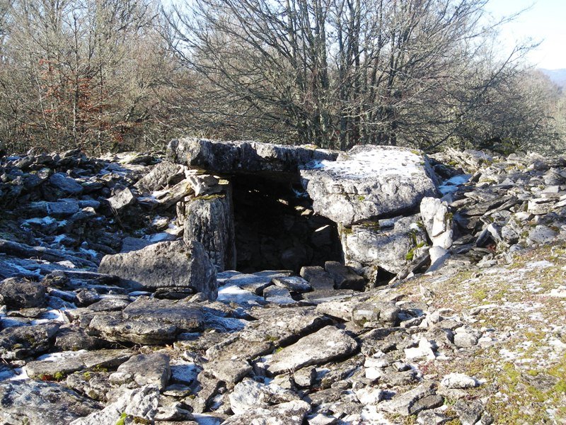 Artekosaro trikuharria