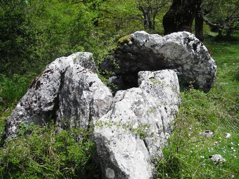 Panplonagañe trikuharria