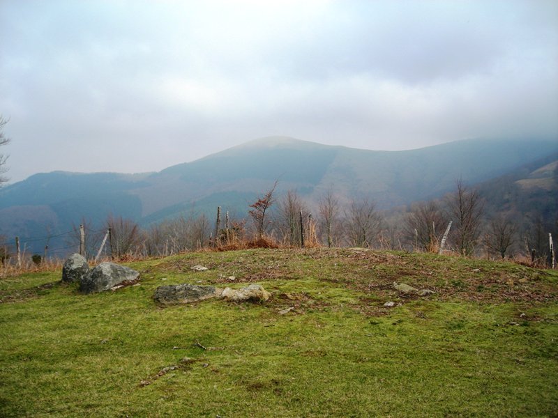 Oianleku hego harrespila