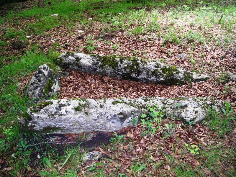 Angaitza trikuharria