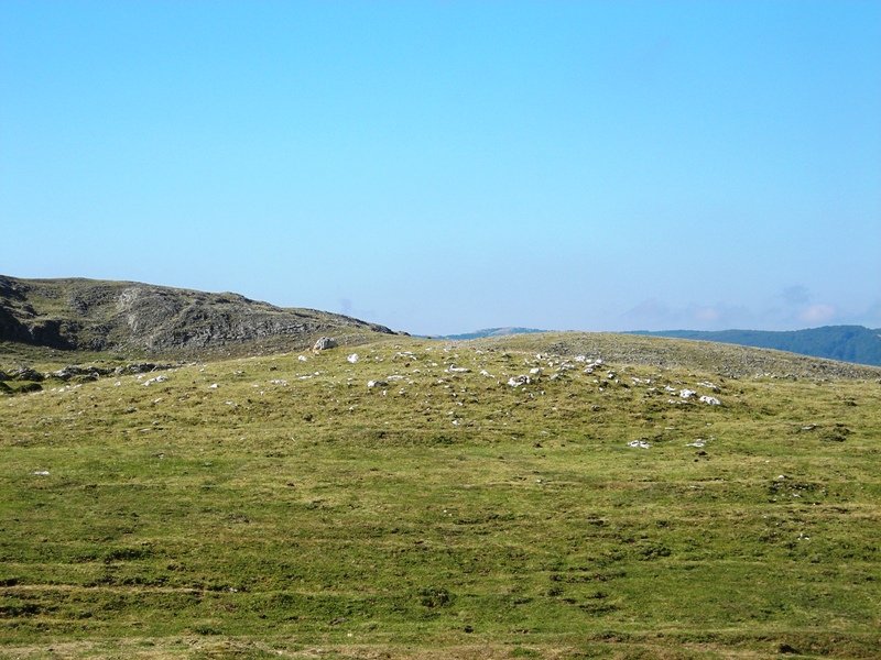 Sarasa Gañe trikuharria