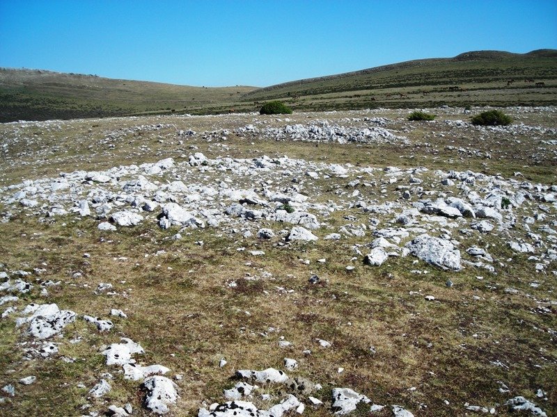 Peña Blanca trikuharria