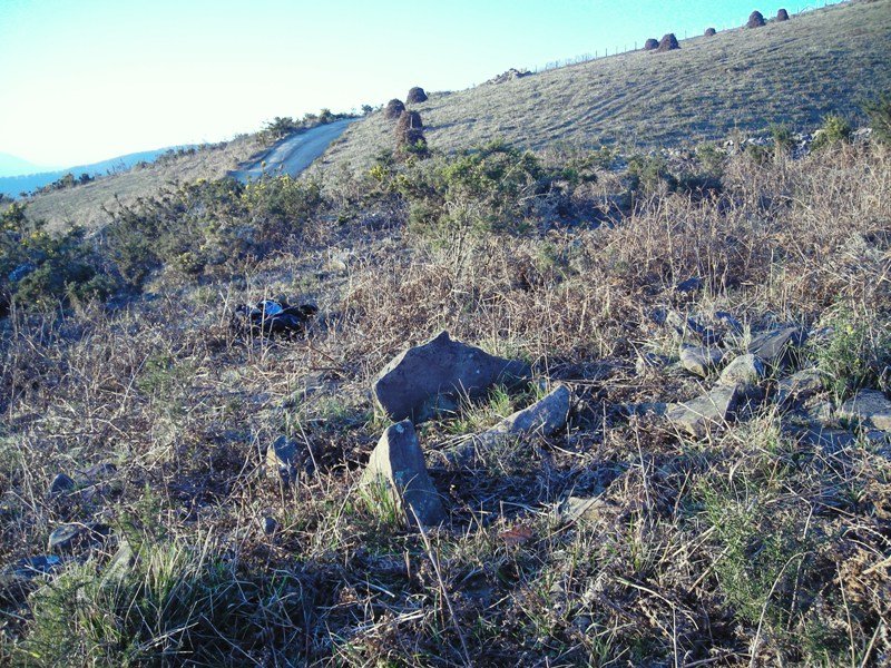 Larratzu trikuharria