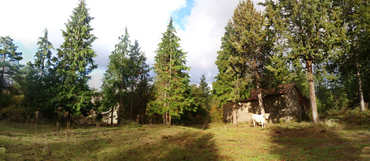 Beltzunegi herri despopulatua