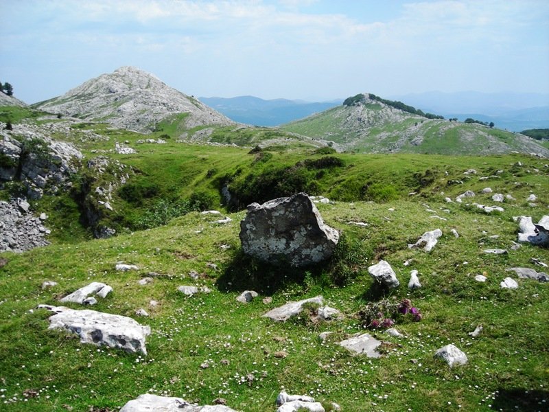 Ataka Xar trikuharria