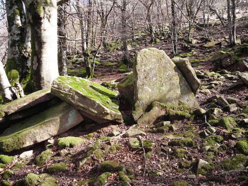 Argibel 4 trikuharria