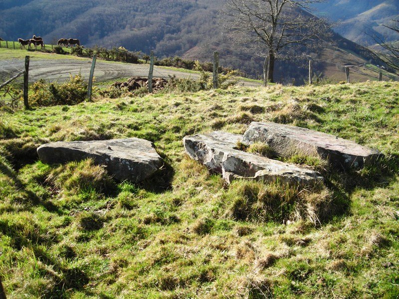 Meakako Lepoa trikuharria