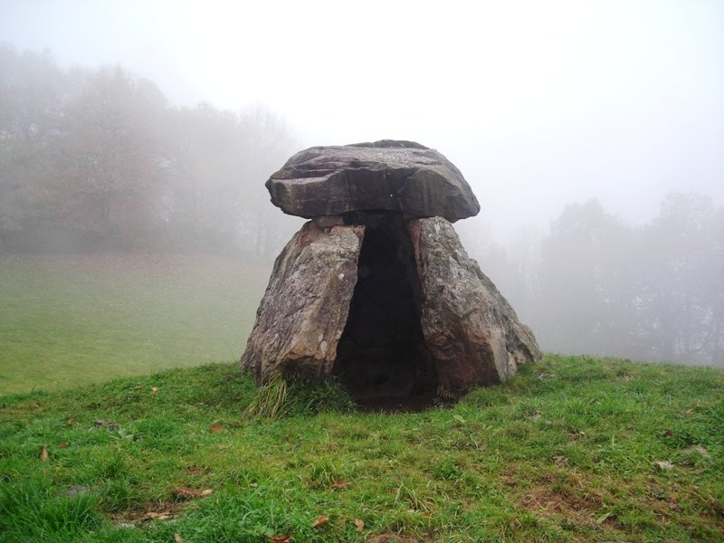 Mairuetxea trikuharria