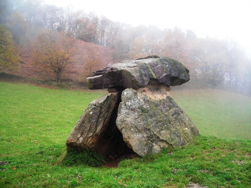 Mairuetxea trikuharria