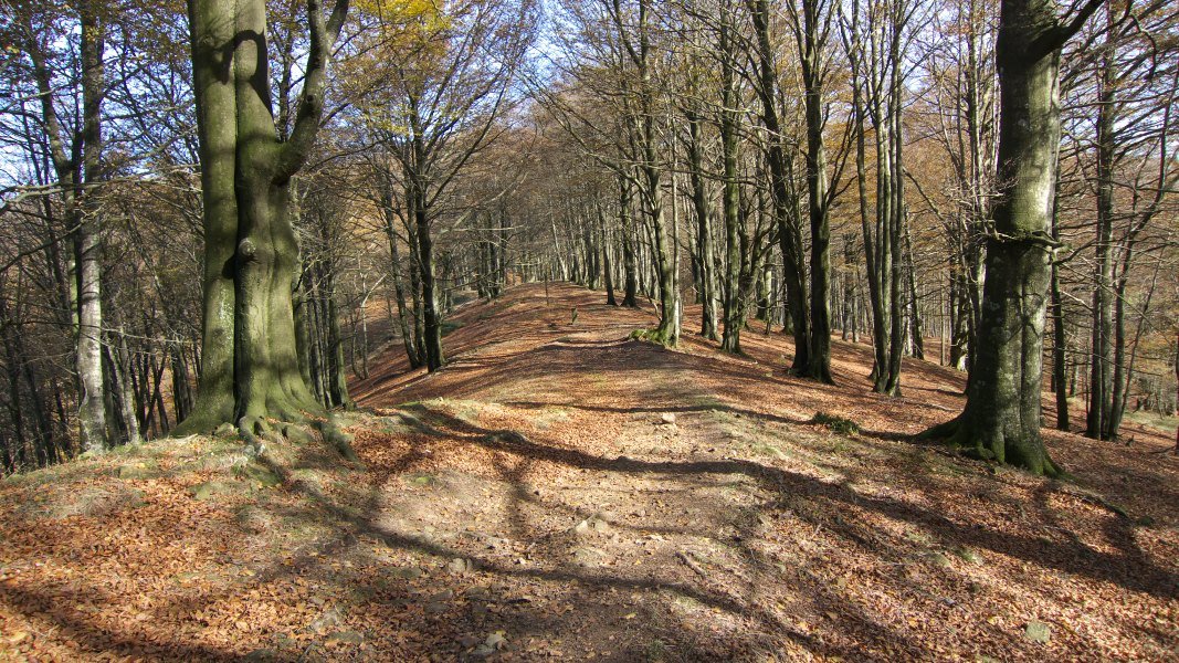 GR12 bidea Irumugeta eta Txaradigorri artean