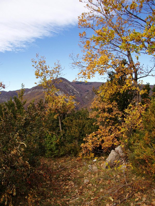 Jakoistigañako gailurra