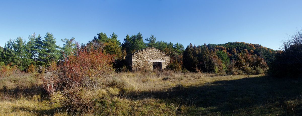 Alkoaz bordaren hondakinak. Atzean, Oihanburua
