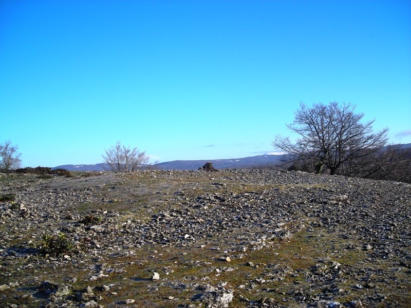 Zurgaina tumulo  de anillo