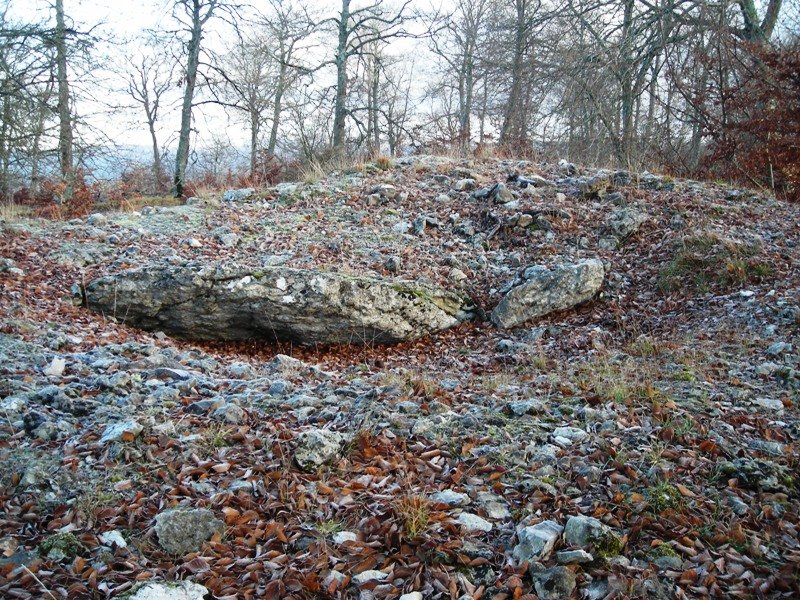 Puerto Viejo de Baquedano 1 trikuharria