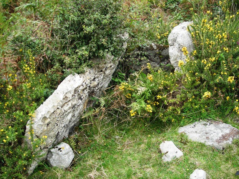 Odiego 2 hego trikuharria