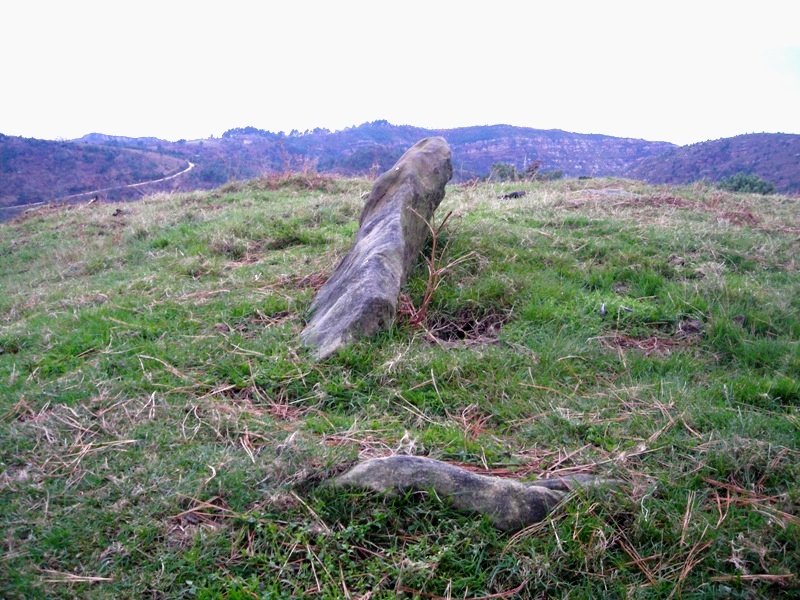 Atxiñar  trikuharria