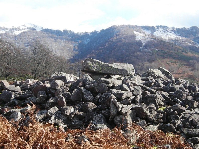 Aznabazterra trikuharria