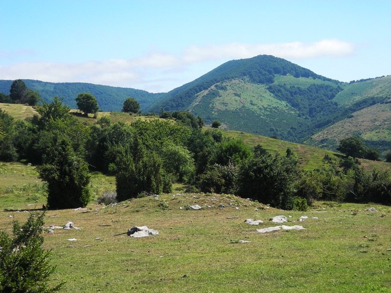 Gurutxagako lepoa tumulua