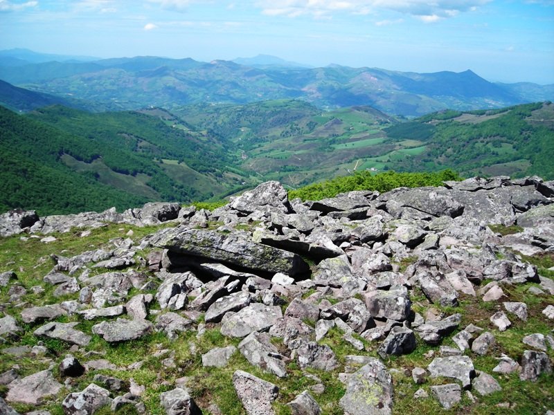 Luurzu  ipar trikuharria