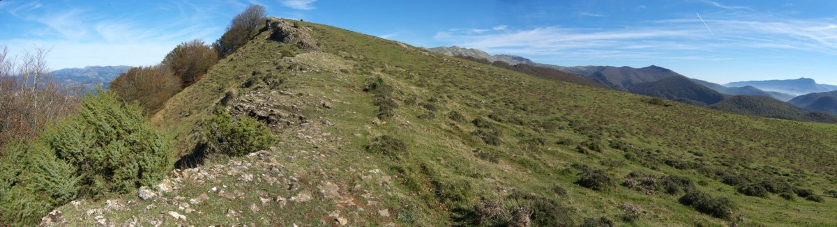 Tontorra HMko bizkarretik