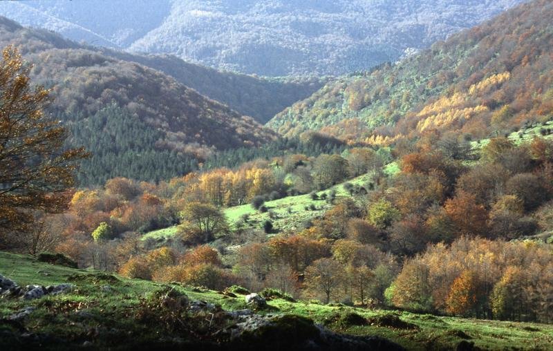 tontorraren ingurutik, hego aldera