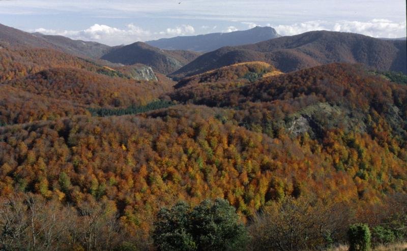 Aiatik Sarastarrirako bidean