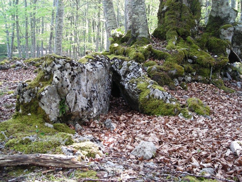 Aubia 1 ipar trikuharria