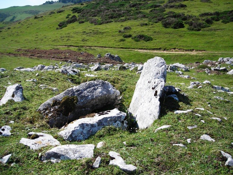 Garraztita  trikuharria