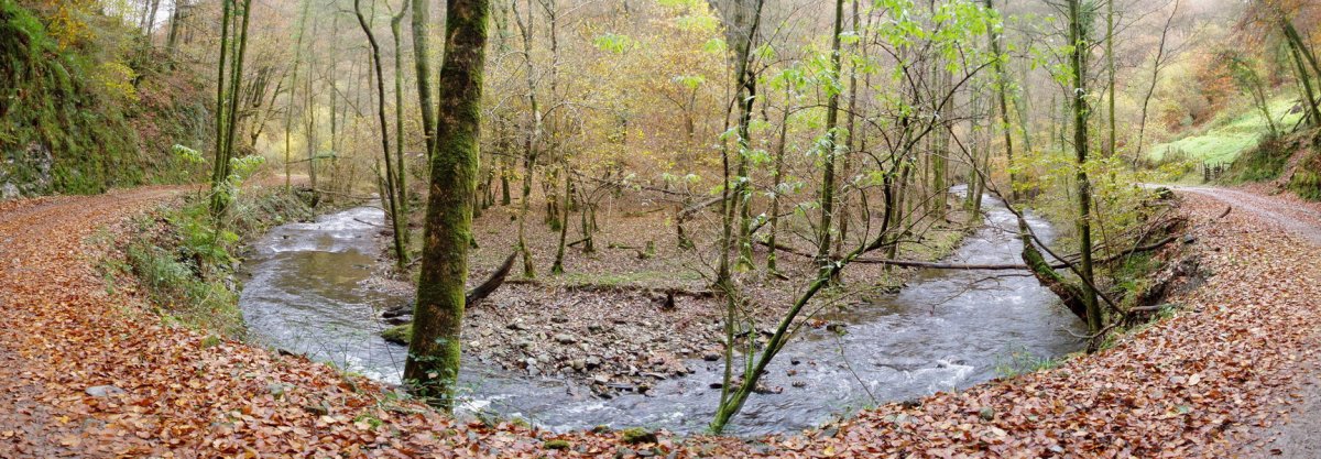 Añarbe errekaren bihurgune bat Artikutza eta Elama artean