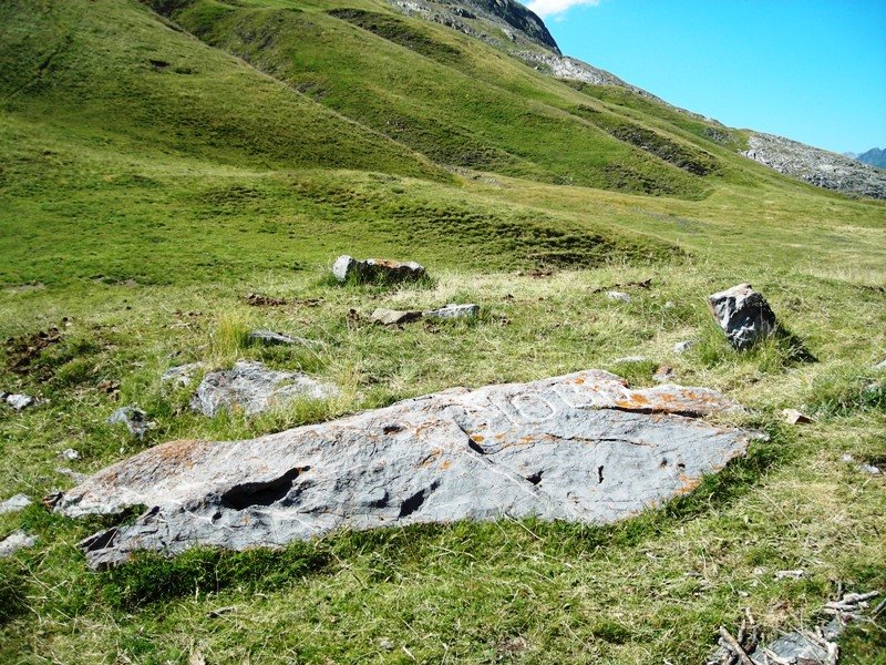 Puerto Viejo de Sallent trikuharria