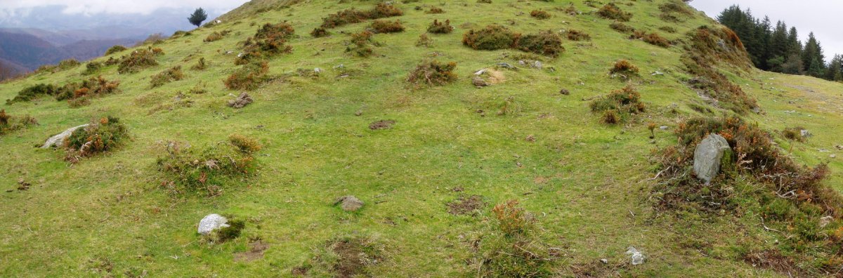 Beltzuntza mairubaratza