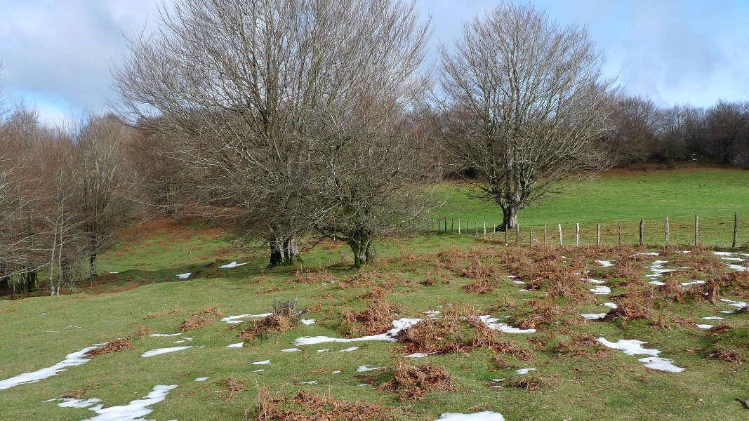 Hegoaldeko Goldanburu gaineko ikuspegi bat