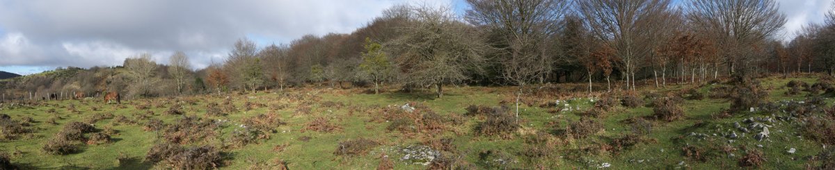 Eremu tumularraren ikuspegi zabala