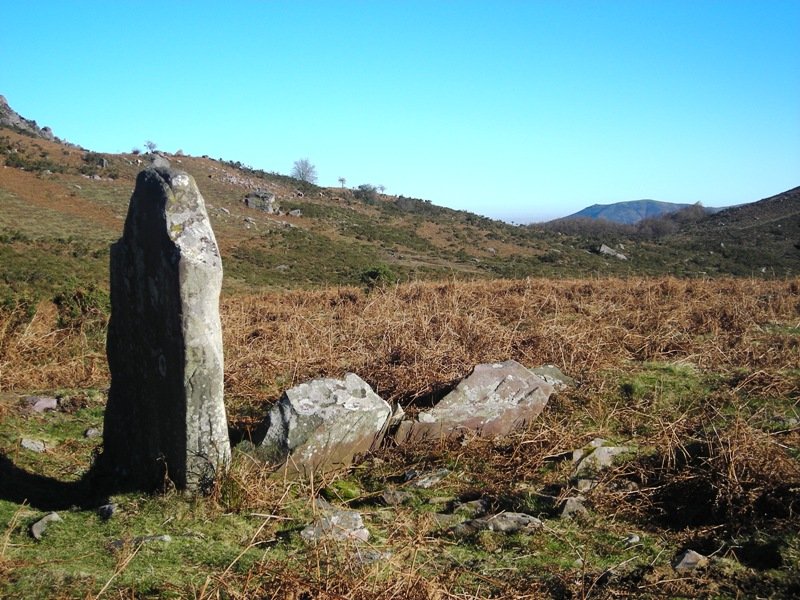 Soroaundi trikuharria