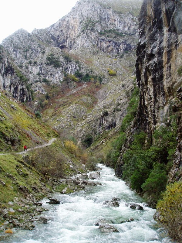 Urdón erreka, zentraletik gertu