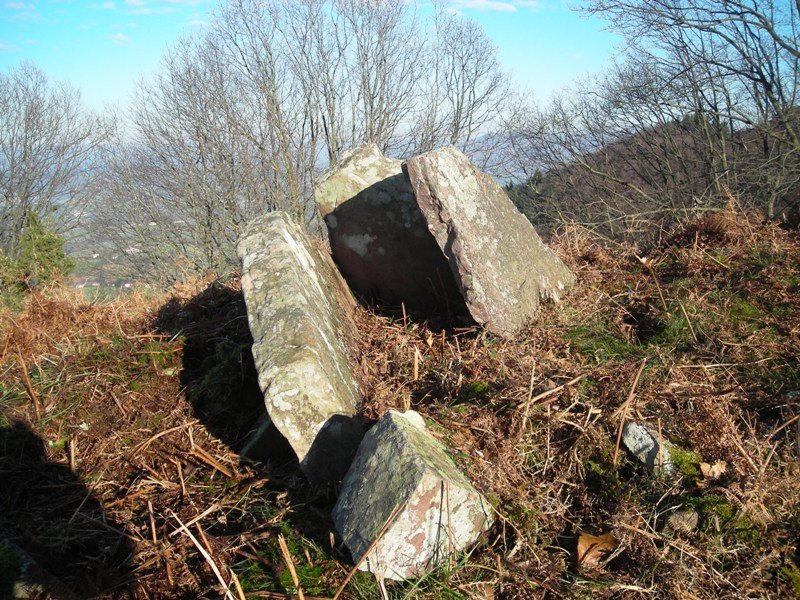 Larria I  trikuharria