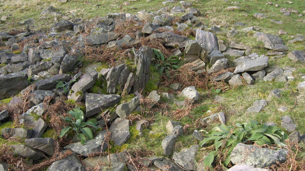 Erdiguneko xehetasuna