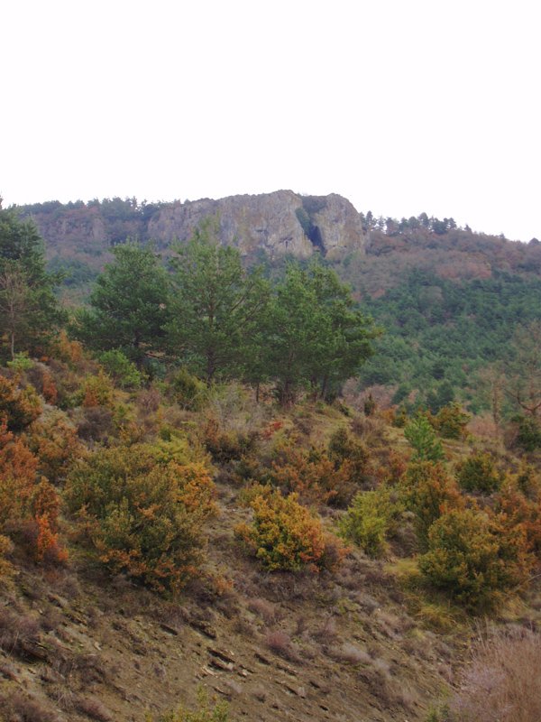 Aldapaburu, Arriasgoititik