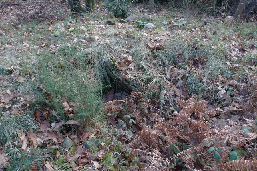 Kamara, sasi artean desagertzear