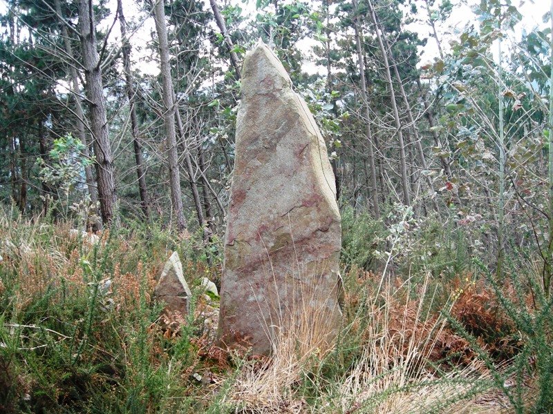 Sorbitzuaga zutarria