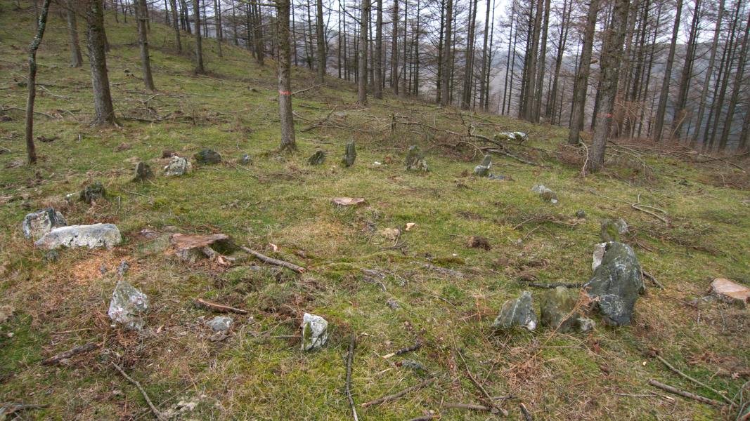 Ekialdeko harrespila