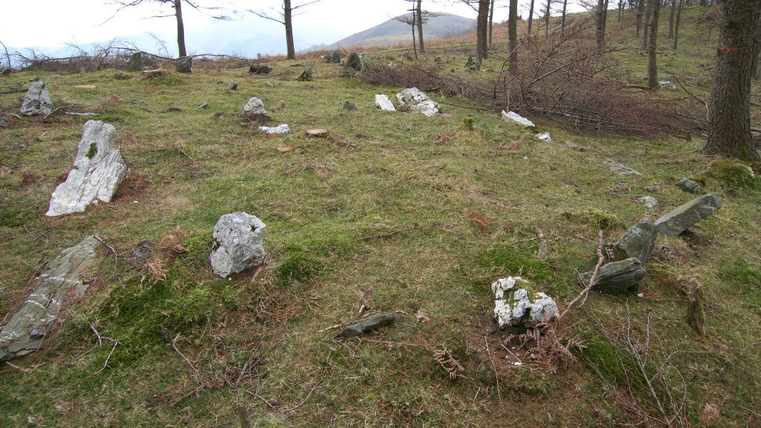 Iparraldeko harrespila