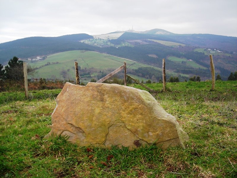 Katillotxu 1 trikuharria