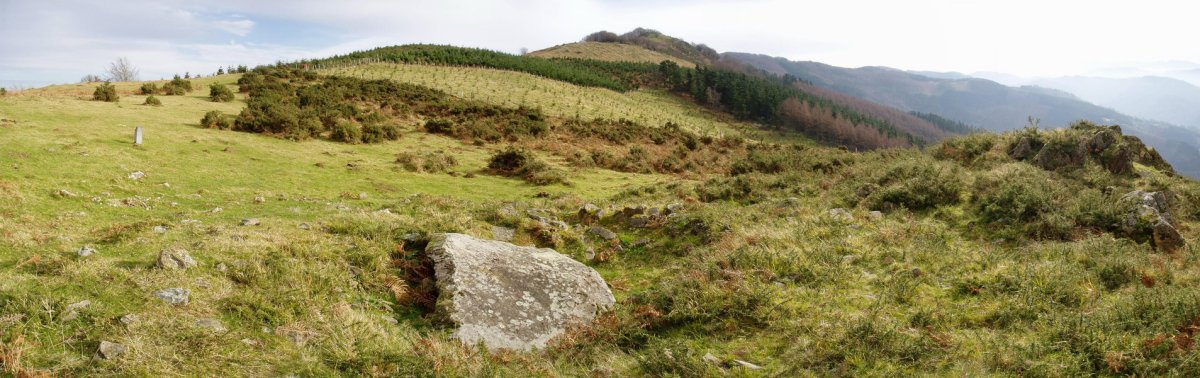 Iruiako trikuharria eta Atxolin