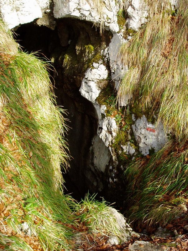 Sarastarri kobazuloa