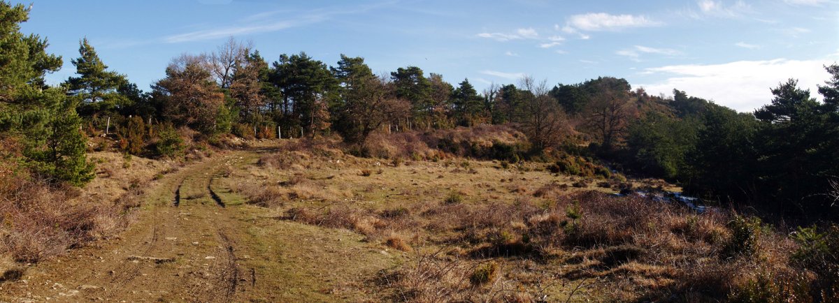 Mendikateko gainalde osoa zeharkatzen duen bidea