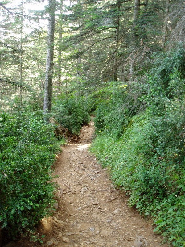 Paradoretik igotzen den bidea