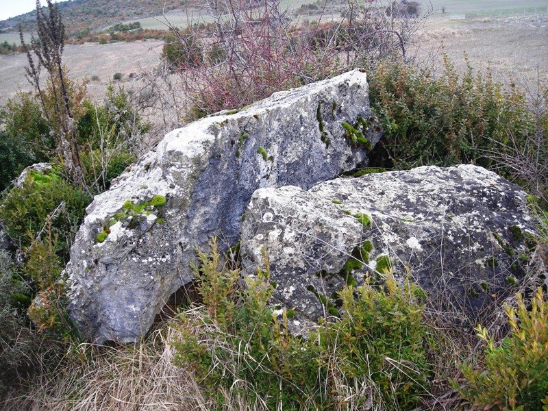 Ugarra 3  trikuharria